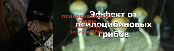 марки lsd Горно-Алтайск