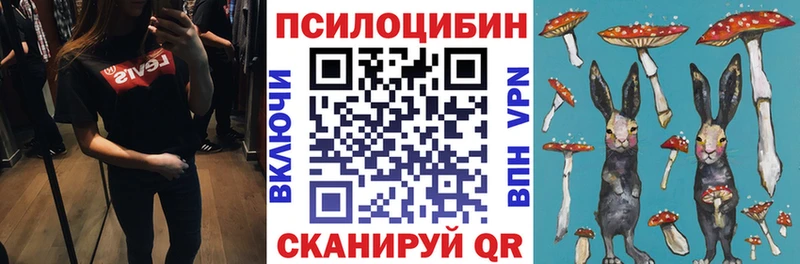Галлюциногенные грибы Cubensis  Купить закладки  Геленджик 